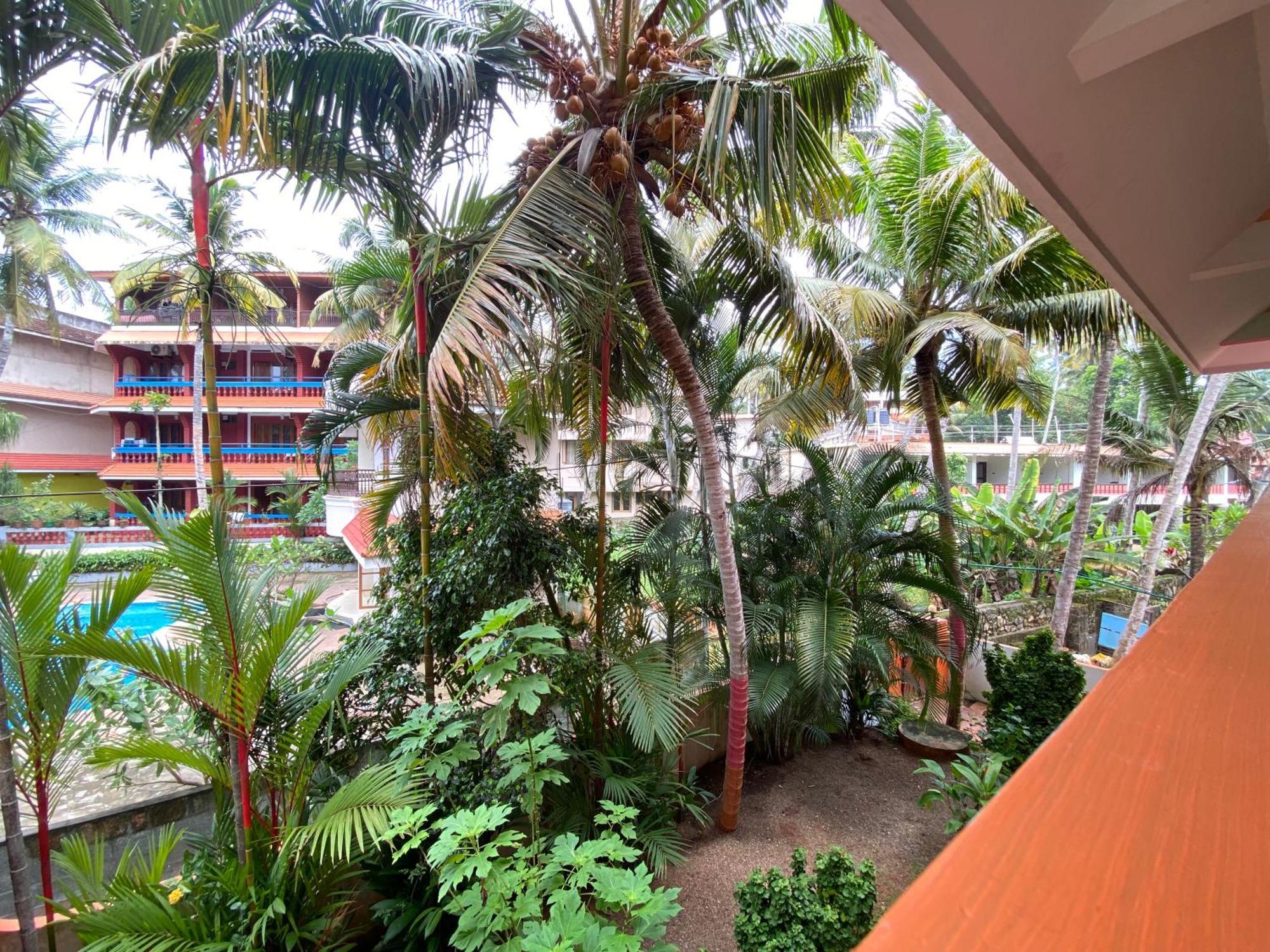 Packbag Comfort Bed & Breakfast Kovalam Exteriér fotografie